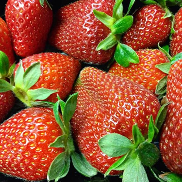 Produktfoto zu Erdbeeren 250 g