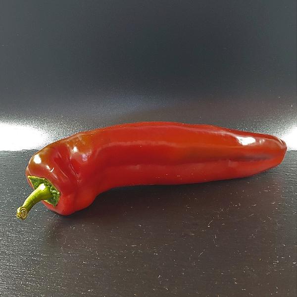 Produktfoto zu Spitz-Paprika rot