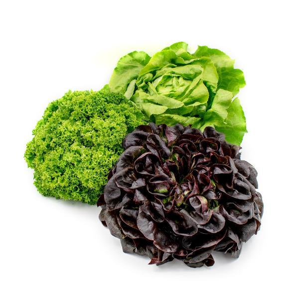 Produktfoto zu Bio-Salat der Woche