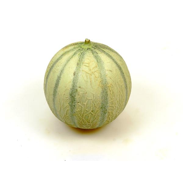 Produktfoto zu Bio-Melone Cantaloupe