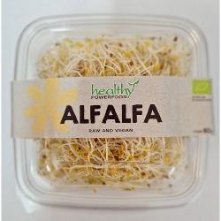 Bio-Alfalfa Sprossen