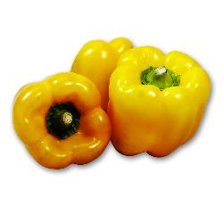 Bio-Paprika gelb