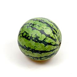 Bio-Wassermelone Mini