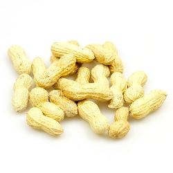 Bio-Erdnüsse in der Schale